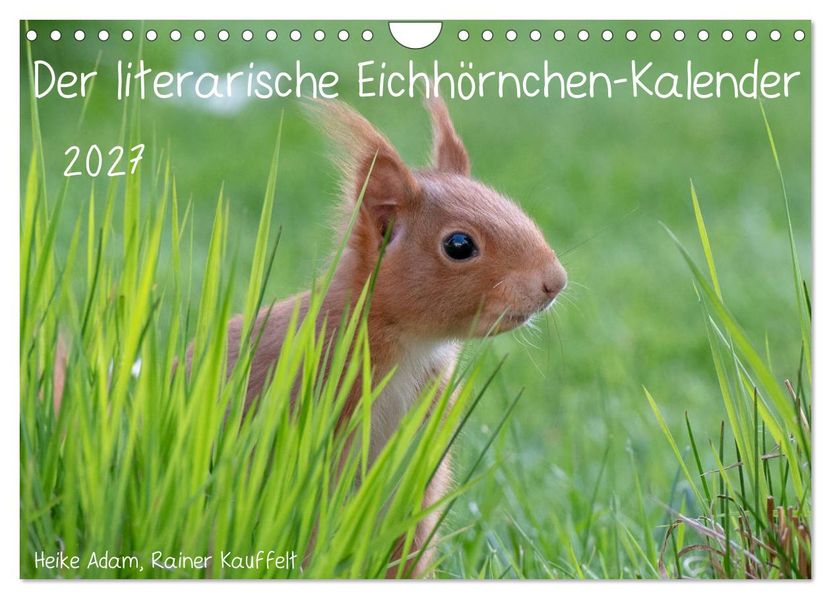 Der literarische Eichhörnchen-Kalender (Wandkalender 2027 DIN A4 quer) CALVENDO Monatskalender