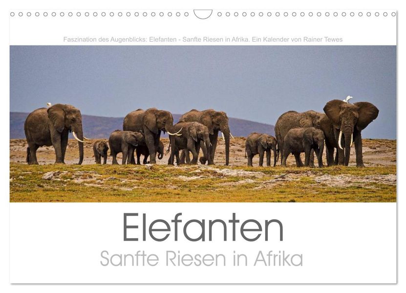 Elefanten - Sanfte Riesen in Afrika (Wandkalender 2027 DIN A3 quer) CALVENDO Monatskalender