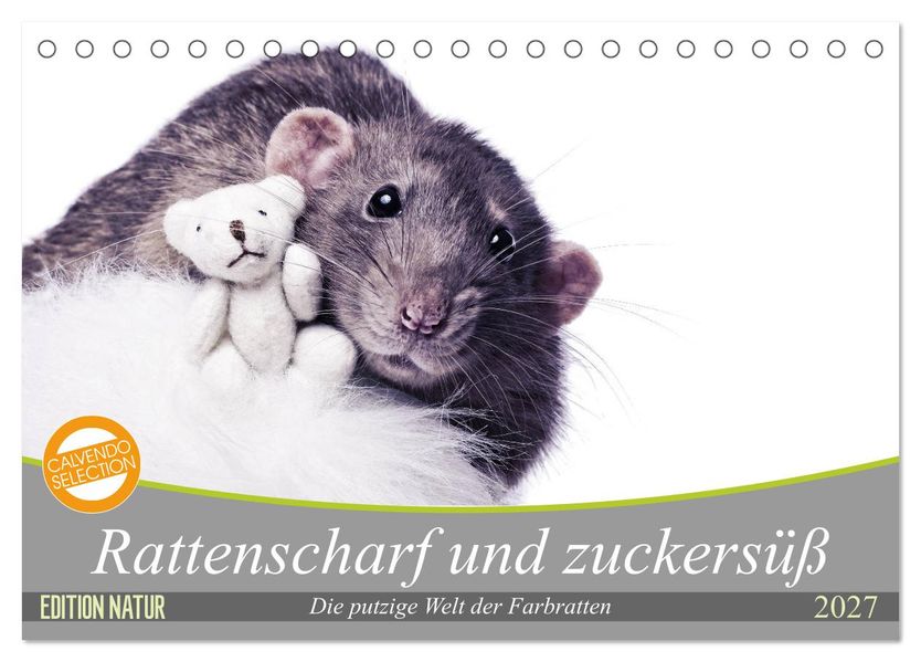 Rattenscharf und zuckersüß (Tischkalender 2027 DIN A5 quer) CALVENDO Monatskalender