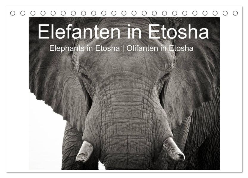 Elefanten in Etosha (Tischkalender 2027 DIN A5 quer) CALVENDO Monatskalender