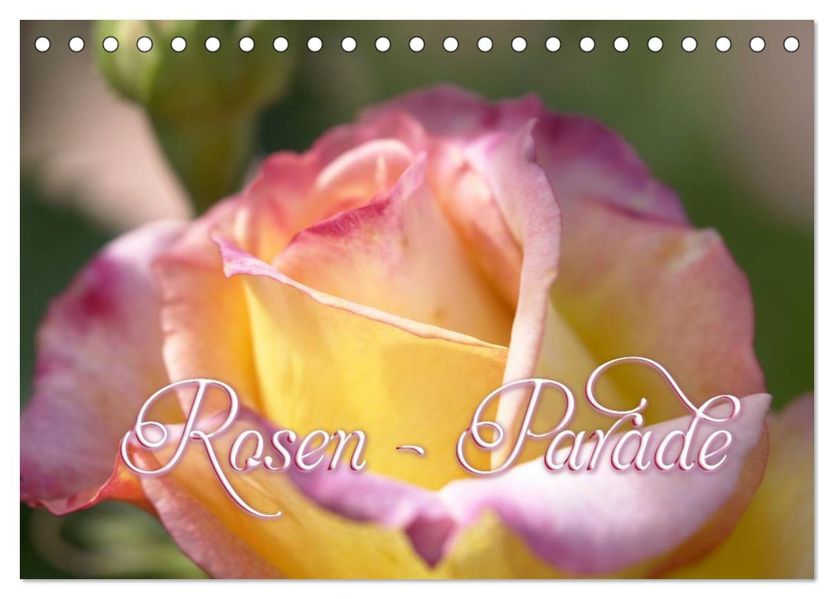 Rosen - Parade (Tischkalender 2027 DIN A5 quer) CALVENDO Monatskalender