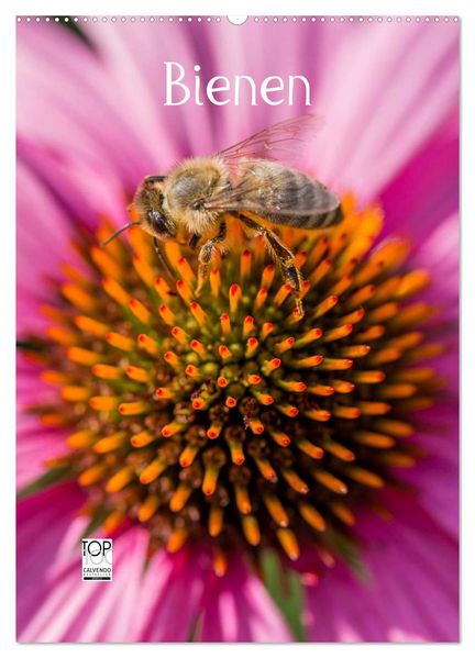 Bienenkalender (Wandkalender 2027 DIN A2 hoch) CALVENDO Monatskalender