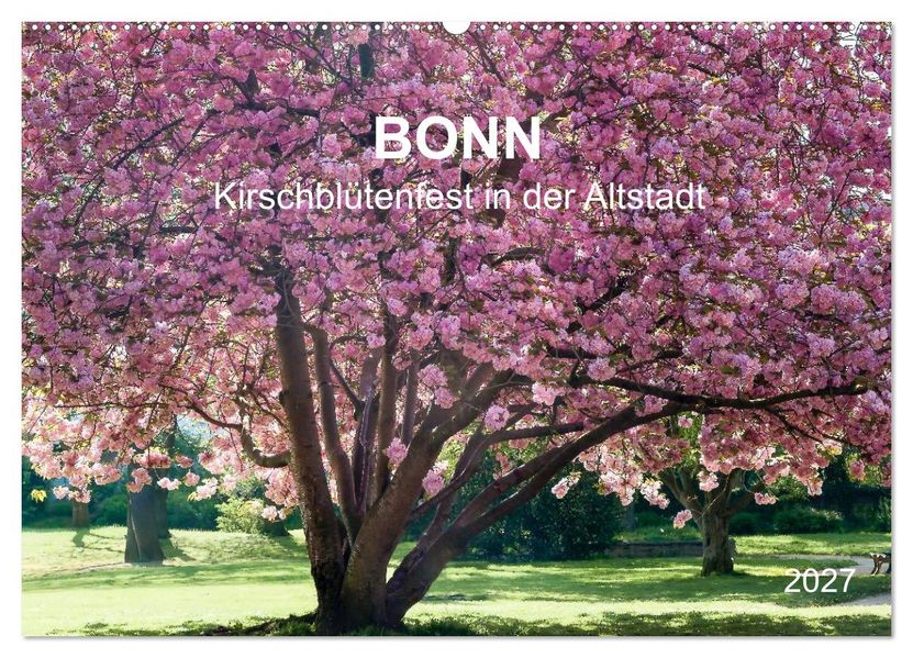 Bonn - Kirschblütenfest in der Altstadt (Wandkalender 2027 DIN A2 quer) CALVENDO Monatskalender