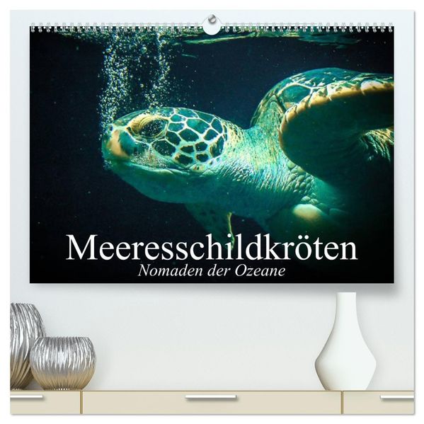 Meeresschildkröten. Nomaden der Ozeane (hochwertiger Premium Wandkalender 2027 DIN A2 quer) Kunstdruck in Hochglanz