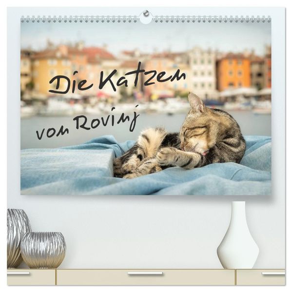 Die Katzen von Rovinj (hochwertiger Premium Wandkalender 2027 DIN A2 quer) Kunstdruck in Hochglanz