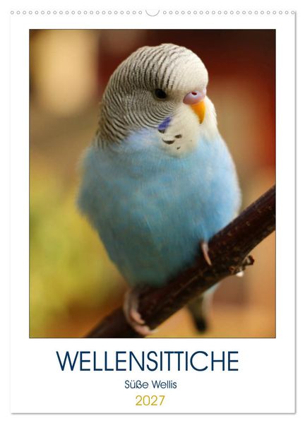 WELLENSITTICHE - Süße Wellis (Wandkalender 2027 DIN A2 hoch) CALVENDO Monatskalender