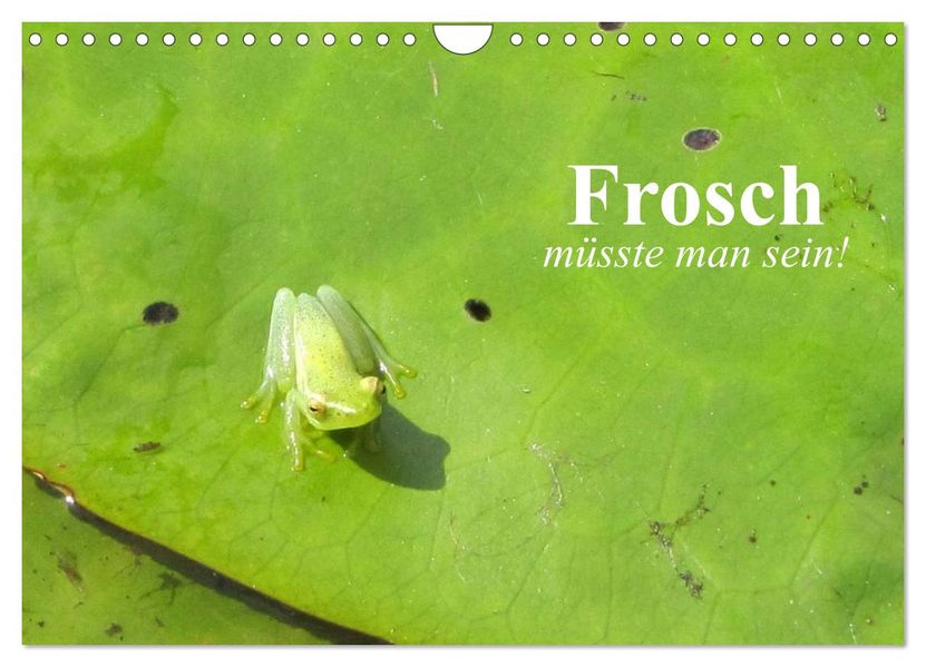 Frosch müsste man sein! (Wandkalender 2027 DIN A4 quer) CALVENDO Monatskalender