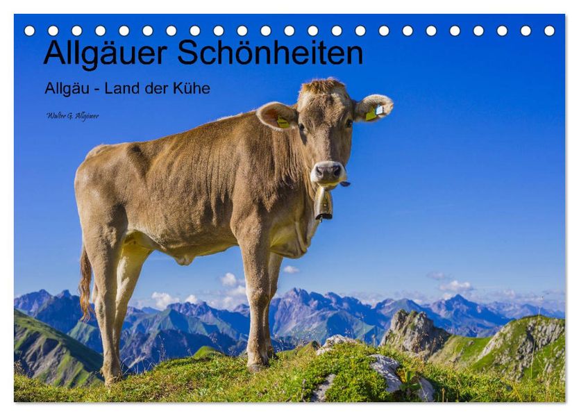 Allgäuer Schönheiten Allgäu - Land der Kühe (Tischkalender 2027 DIN A5 quer) CALVENDO Monatskalender