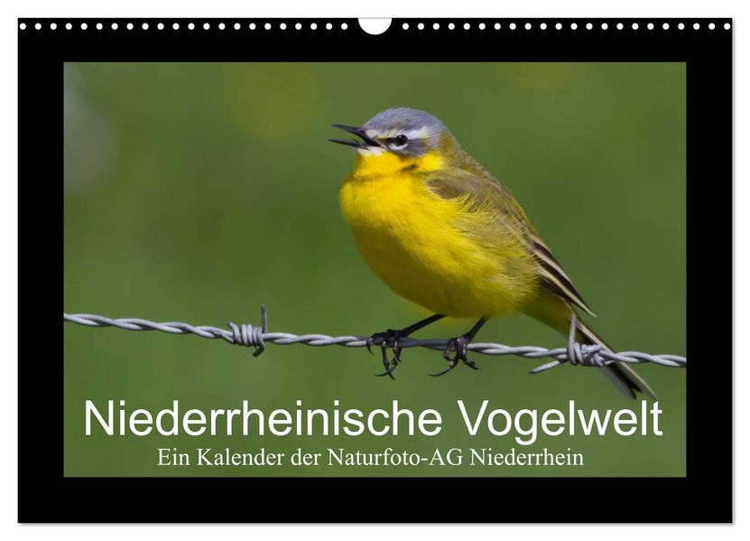 Niederrheinische Vogelwelt (Wandkalender 2027 DIN A3 quer) CALVENDO Monatskalender