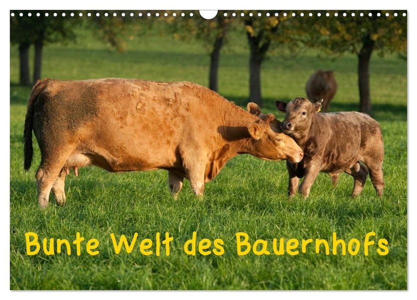 Bunte Welt des Bauernhofs (Wandkalender 2027 DIN A3 quer) CALVENDO Monatskalender