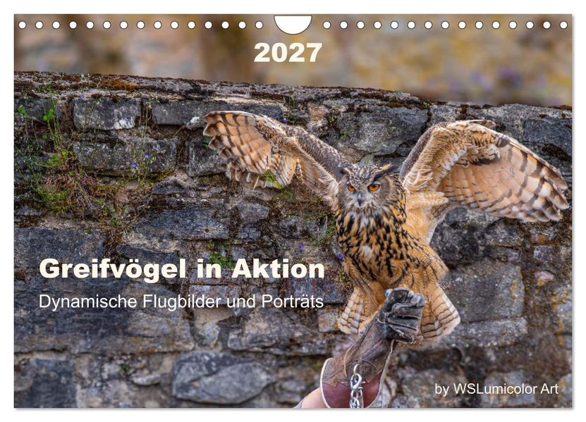 Greifvögel in Aktion - Dynamische Flugbilder und Porträts (Wandkalender 2027 DIN A4 quer) CALVENDO Monatskalender