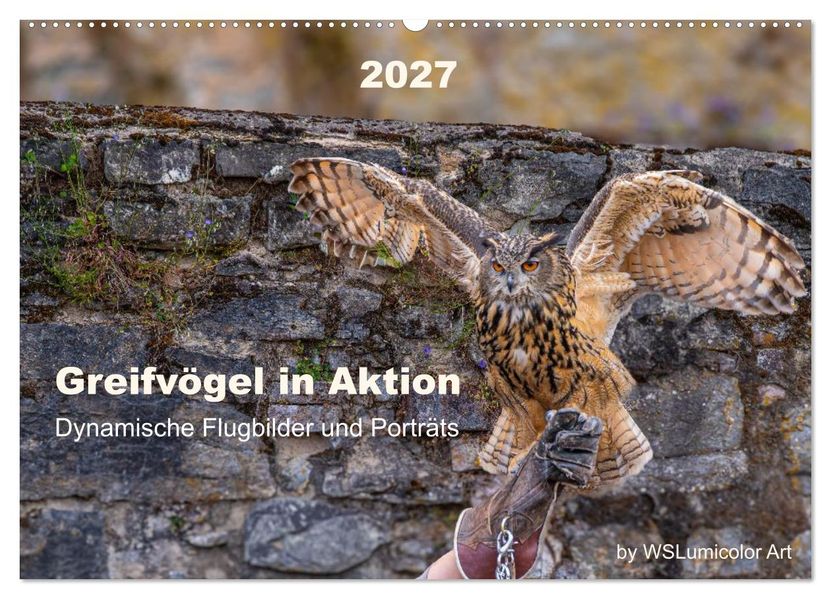 Greifvögel in Aktion - Dynamische Flugbilder und Porträts (Wandkalender 2027 DIN A2 quer) CALVENDO Monatskalender
