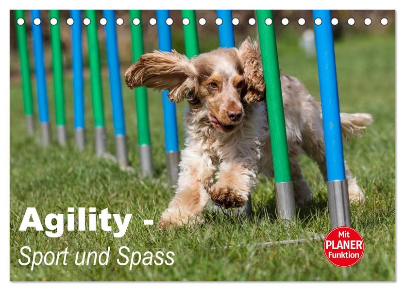 Agility - Sport und Spass (Tischkalender 2027 DIN A5 quer) CALVENDO Monatskalender
