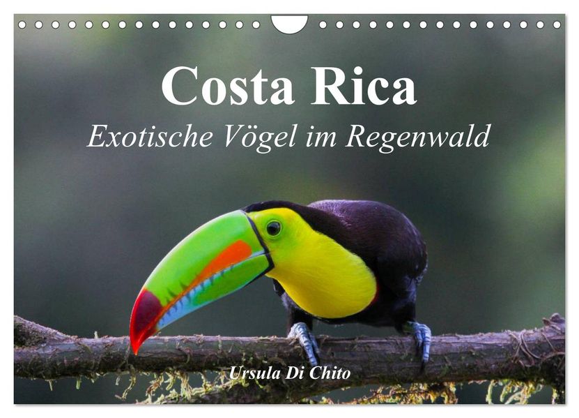 Costa Rica - Exotische Vögel im Regenwald (Wandkalender 2027 DIN A4 quer) CALVENDO Monatskalender