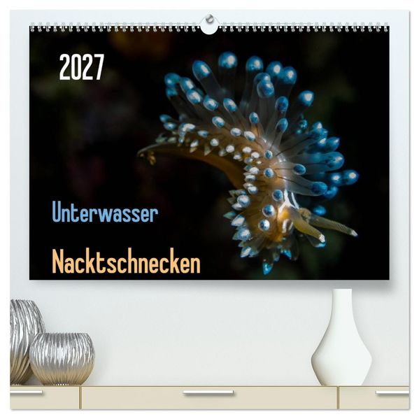 Unterwasser - Nacktschnecken 2027 (hochwertiger Premium Wandkalender 2027 DIN A2 quer) Kunstdruck in Hochglanz