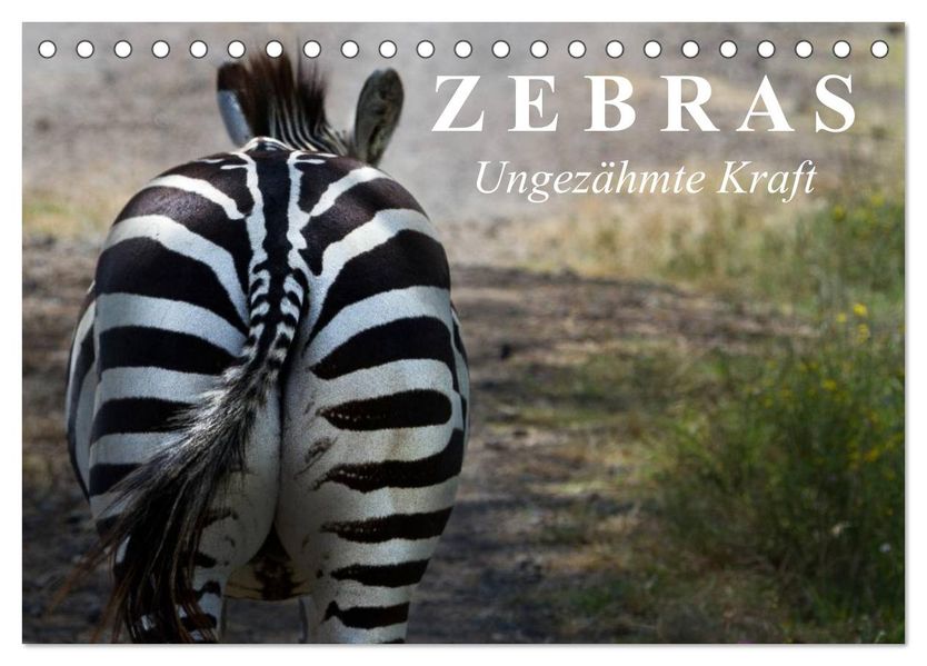 Zebras - Ungezähmte Kraft (Tischkalender 2027 DIN A5 quer) CALVENDO Monatskalender