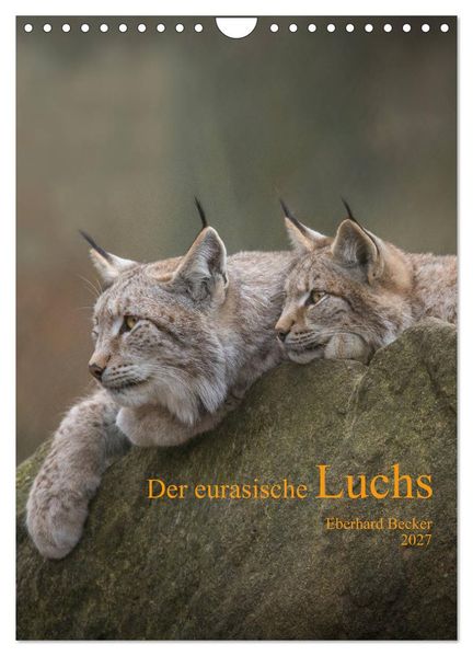 Der eurasische Luchs (Wandkalender 2027 DIN A4 hoch) CALVENDO Monatskalender