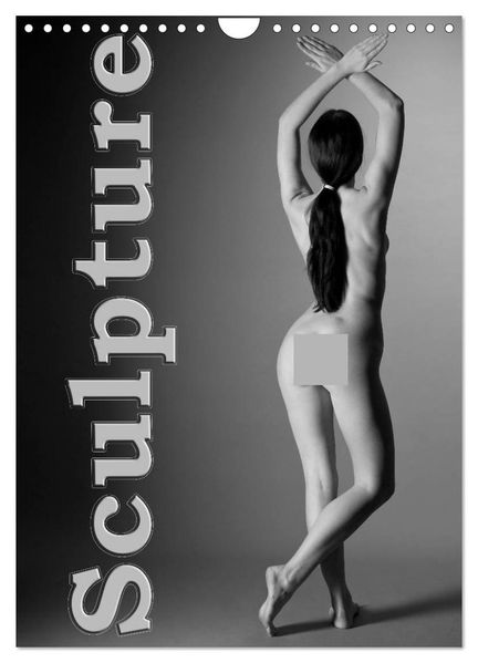 Sculpture (Wall Calendar 2027 DIN A4 portrait) CALVENDO 12 Month Wall Calendar