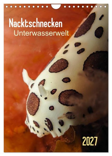 Nacktschnecken - Unterwasserwelt 2027 (Wandkalender 2027 DIN A4 hoch) CALVENDO Monatskalender