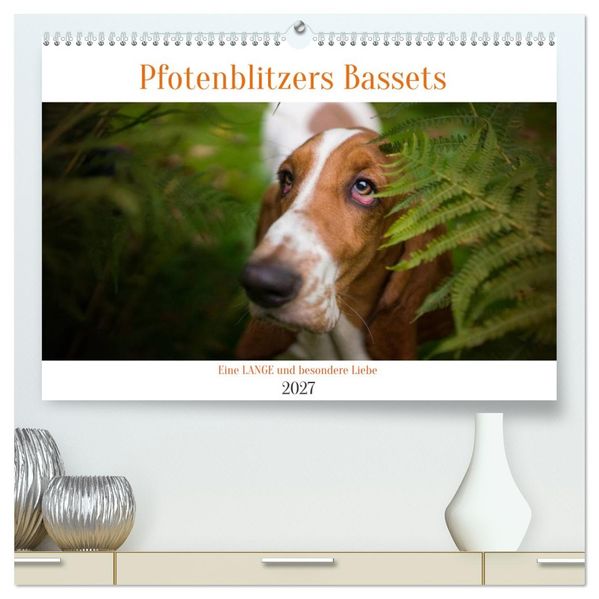 Der Basset eine LANGE und besondere Liebe (hochwertiger Premium Wandkalender 2027 DIN A2 quer) Kunstdruck in Hochglanz