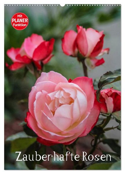 Zauberhafte Rosen (Wandkalender 2027 DIN A2 hoch) CALVENDO Monatskalender
