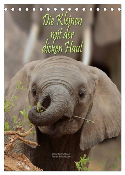 Die Kleinen mit der dicken Haut (Tischkalender 2027 DIN A5 hoch) CALVENDO Monatskalender