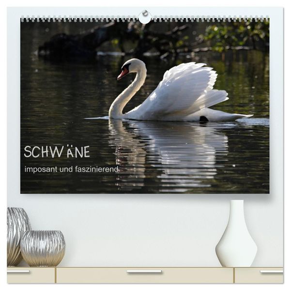 Schwäne - imposant und faszinierend (hochwertiger Premium Wandkalender 2027 DIN A2 quer) Kunstdruck in Hochglanz