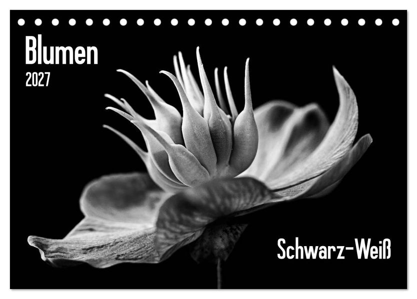 Blumen 2027 Schwarz-Weiß (Tischkalender 2027 DIN A5 quer) CALVENDO Monatskalender