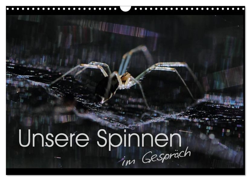 Unsere Spinnen - im Gespräch (Wandkalender 2027 DIN A3 quer) CALVENDO Monatskalender