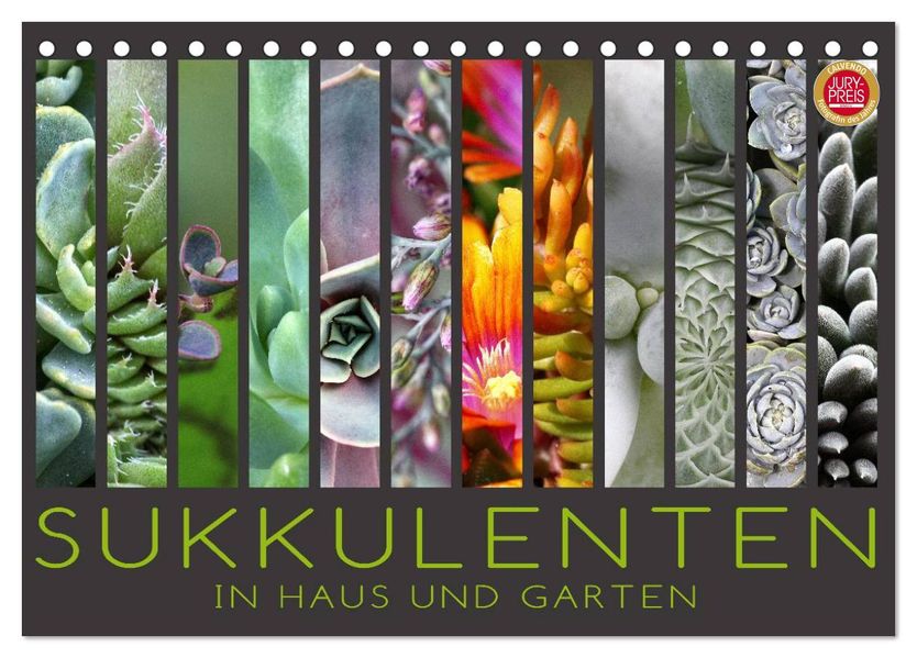 Sukkulenten in Haus und Garten (Tischkalender 2027 DIN A5 quer) CALVENDO Monatskalender