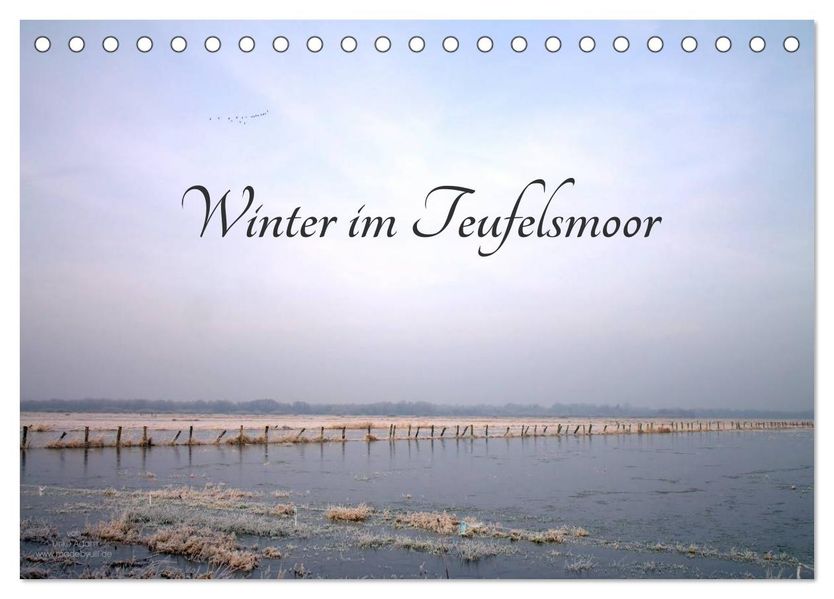 Winter im Teufelsmoor (Tischkalender 2027 DIN A5 quer) CALVENDO Monatskalender