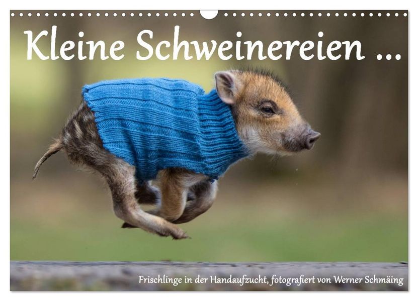 Kleine Schweinereien (Wandkalender 2027 DIN A3 quer) CALVENDO Monatskalender