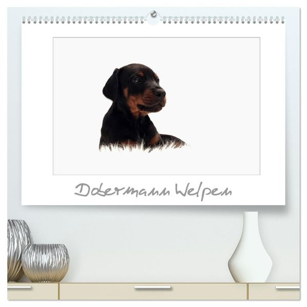 Dobermann Welpen (hochwertiger Premium Wandkalender 2027 DIN A2 quer) Kunstdruck in Hochglanz