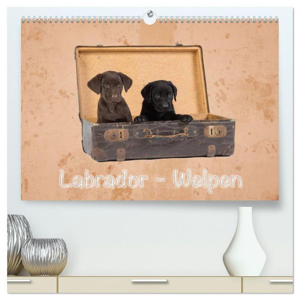 Labrador - Welpen (hochwertiger Premium Wandkalender 2027 DIN A2 quer) Kunstdruck in Hochglanz