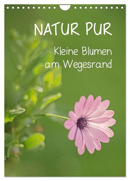 NATUR PUR Kleine Blumen am Wegesrand (Wandkalender 2027 DIN A4 hoch) CALVENDO Monatskalender