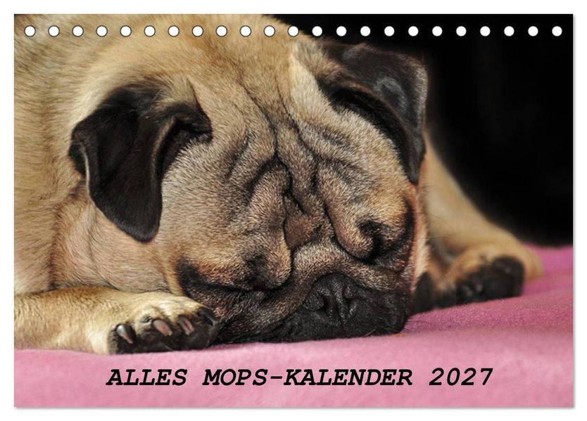 Alles Mops-Kalender 2027 (Tischkalender 2027 DIN A5 quer) CALVENDO Monatskalender