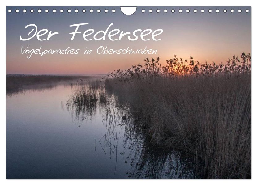 Der Federsee - Vogelparadies in Oberschwaben (Wandkalender 2027 DIN A4 quer) CALVENDO Monatskalender