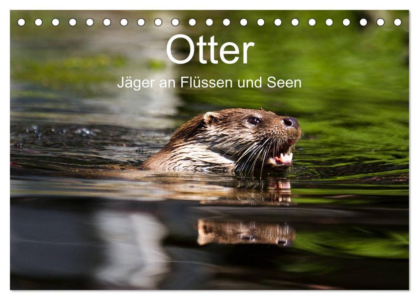 Otter - Jäger an Flüssen und Seen (Tischkalender 2027 DIN A5 quer) CALVENDO Monatskalender