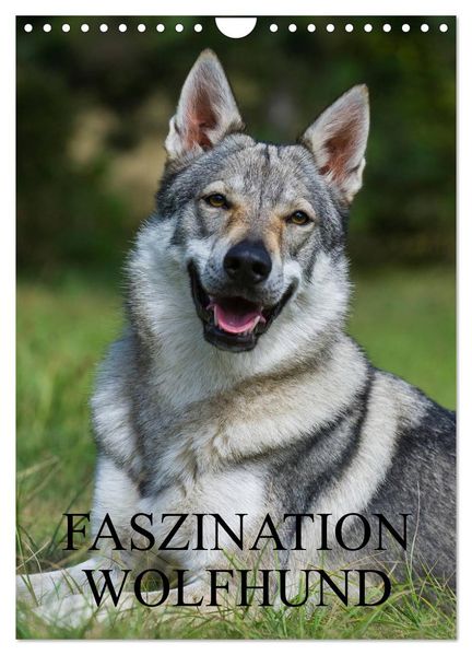 Faszination Wolfhund (Wandkalender 2027 DIN A4 hoch) CALVENDO Monatskalender