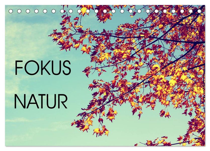 Focus Natur (Tischkalender 2027 DIN A5 quer) CALVENDO Monatskalender