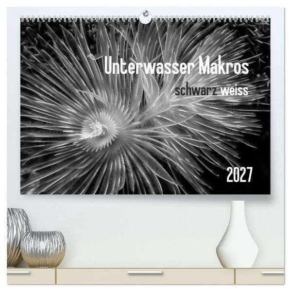 Unterwasser Makros - schwarz weiss 2027 (hochwertiger Premium Wandkalender 2027 DIN A2 quer) Kunstdruck in Hochglanz