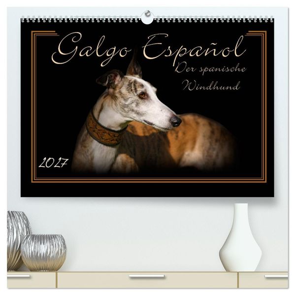 Galgo Español 2027- Der spanische Windhund (hochwertiger Premium Wandkalender 2027 DIN A2 quer) Kunstdruck in Hochglanz