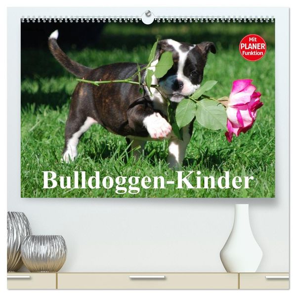 Bulldoggen-Kinder (hochwertiger Premium Wandkalender 2027 DIN A2 quer) Kunstdruck in Hochglanz