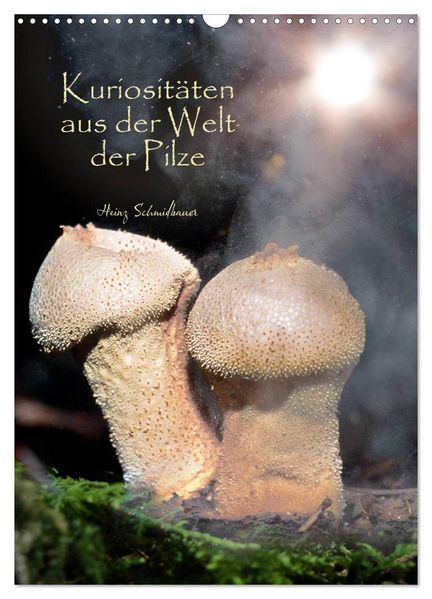 Kuriositäten aus der Welt der Pilze (Wandkalender 2027 DIN A3 hoch) CALVENDO Monatskalender
