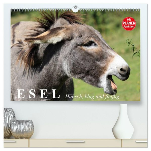 Esel. Hübsch klug und fleißig (hochwertiger Premium Wandkalender 2027 DIN A2 quer) Kunstdruck in Hochglanz
