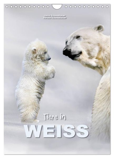Tiere in Weiß (Wandkalender 2027 DIN A4 hoch) CALVENDO Monatskalender