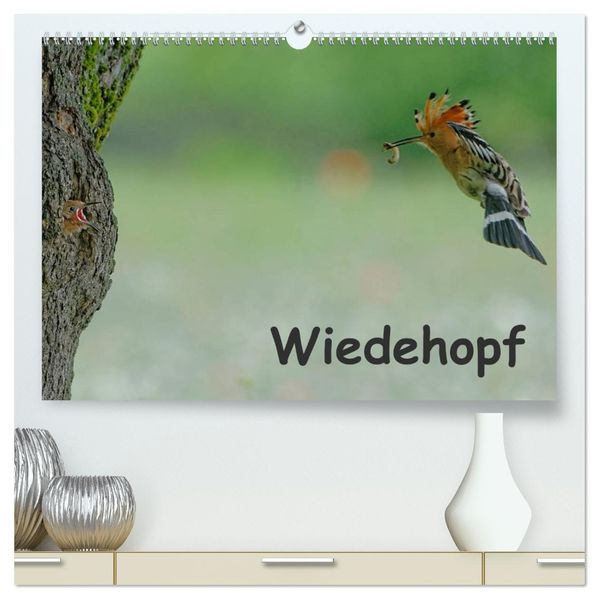 Wiedehopf (hochwertiger Premium Wandkalender 2027 DIN A2 quer) Kunstdruck in Hochglanz