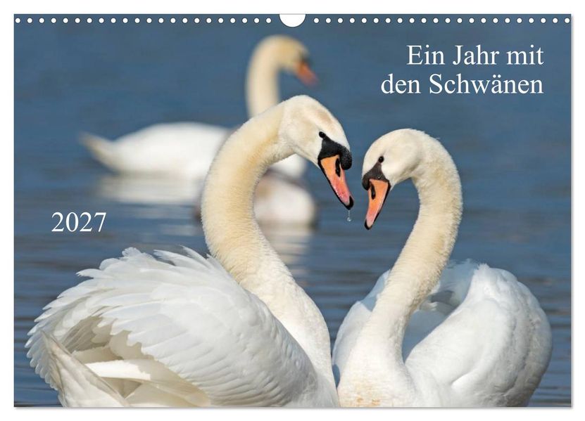 Ein Jahr mit den Schwänen (Wandkalender 2027 DIN A3 quer) CALVENDO Monatskalender