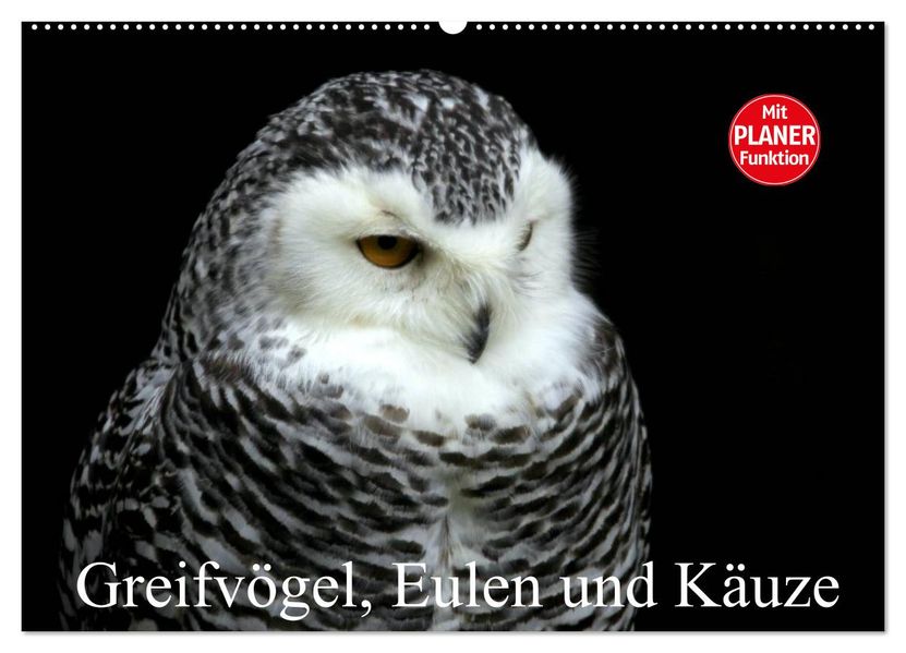 Greifvögel Eulen und Käuze (Wandkalender 2027 DIN A2 quer) CALVENDO Monatskalender
