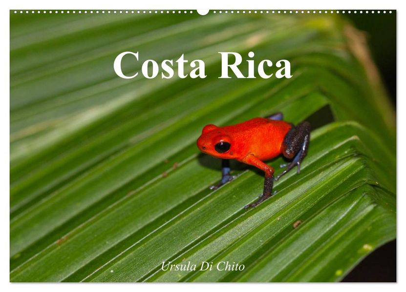 Costa Rica (Wandkalender 2027 DIN A2 quer) CALVENDO Monatskalender